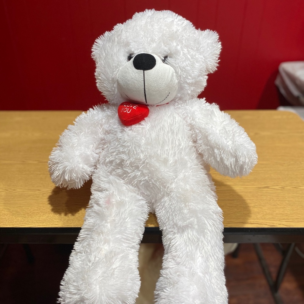 Medium size Teddy Bear